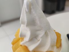 -Salud撒露欧洲冻酸奶(798艺术区店)