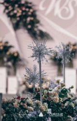 -保定金沙芝柏婚礼策划