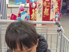 -盒马X会员店(王府井奥莱UP TOWN店)