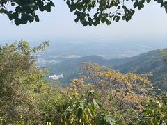 -香山公园
