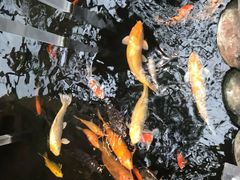 -上海大自然野生昆虫馆(东方明珠·爬宠昆虫探索中心)