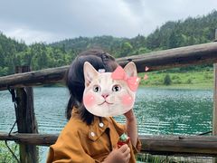 -武陵山森林公园