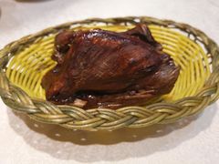-邵年鸽(杨庄店)
