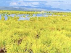 -花湖生态旅游区
