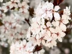 -上海滨江森林公园