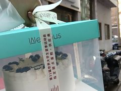 -维尔纳斯·生日蛋糕·动物奶油冰淇淋蛋糕(六里桥店)