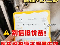 -半岛宠物医院24小时(科华中路店)