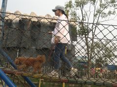 -如皋市龙游湖欢乐世界