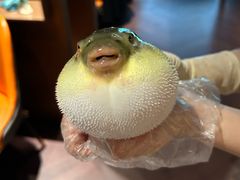 -肆月河豚·淮扬菜·湘菜(华天店)