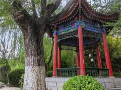 -莲湖公园