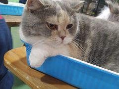 -藦茜花园宠物主题亲子互动体验馆(国顺东路店)