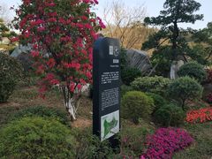 -东莞植物园