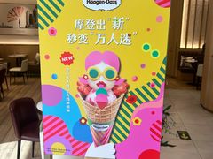 -哈根达斯(国瑞店)