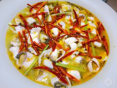 眉山老坛酸菜鲈鱼-青花椒花椒鱼(合生汇店)