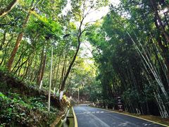 -分塔山省级森林公园