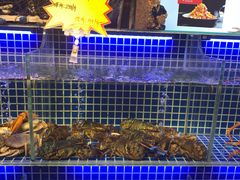 -必点海鲜·鲅鱼水饺(鞍山西道店)