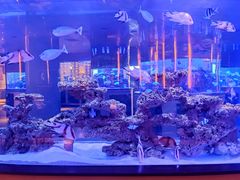 -上和臻品中国菜(花园街店)