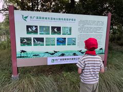 -长广溪湿地公园