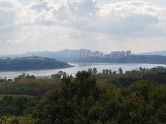 -张坝桂圆林公园