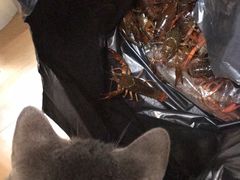 -梅园食堂