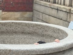 -蔡氏古民居建筑群