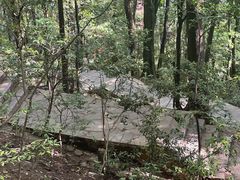 -黔灵山公园