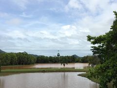 -热带雨林自然公园