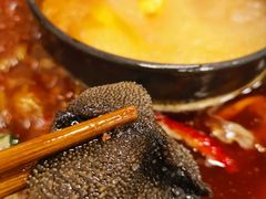 -黄潇洒老火锅(九眼桥宏济巷店)