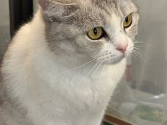 -共舞时光猫咖·狗咖(新街口店)