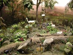 -陕西自然博物馆