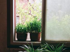 -胖哥料理(兴义里店)