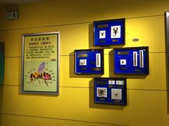 -上海昆虫博物馆