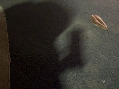 -颐而康·按摩·艾灸·足疗(南岸晶都店)