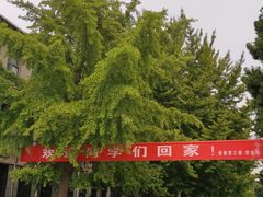 -河南师范大学(主校区)