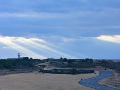 -涉地可支