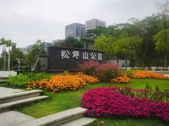 -松坪山公园