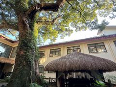 -普陀山雷迪森庄园