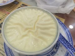 招牌双皮奶-捷信牛奶甜品世家(柳巷店)