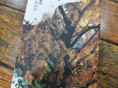 -南雄雄州土菜餐厅(粤北大厦店)