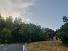 -大唐贡茶院