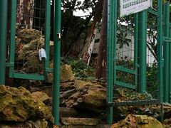 -瀛洲公园