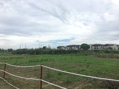 -田园东方蜜桃村的田野营地