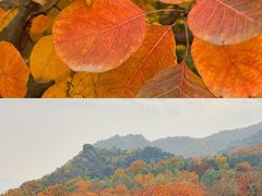 -阳台山自然风景区