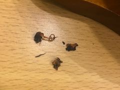 -萨莉亚意式餐厅(天河城购物中心店)