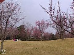 -码头故事火锅(大丰店)