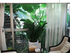 -圣和足道·瑶浴SPA·养生茶府(光华店)