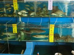 android_upload_pic-沙头涌渔栏海鲜餐厅