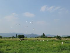 -良渚文化村