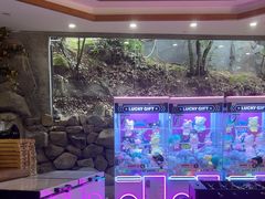 -将军关探险漂流