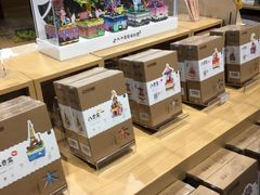 -九木杂物社(恒隆广场店)